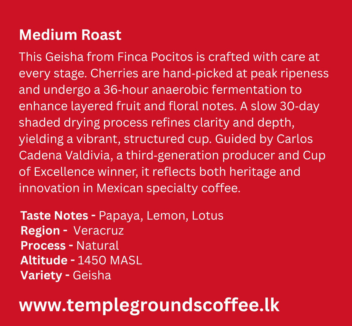 Mexico Pocitos Geisha