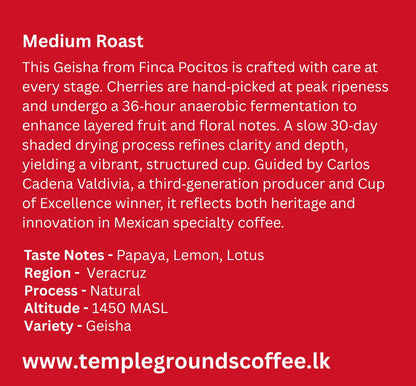 Mexico Pocitos Geisha