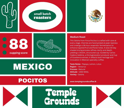 Mexico Pocitos Geisha